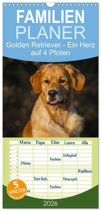 Golden Retriever - Ein Herz auf 4 Pfoten (CALVENDO Familienplaner 2026)