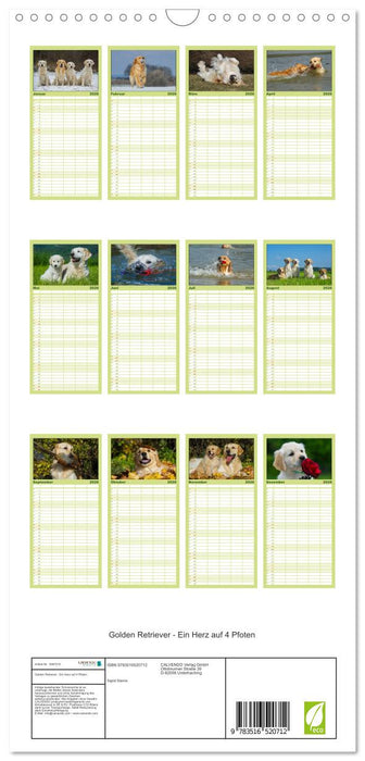 Golden Retriever - Ein Herz auf 4 Pfoten (CALVENDO Familienplaner 2026)