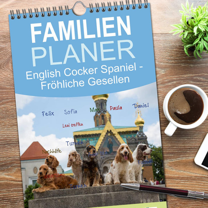 English Cocker Spaniel - Fröhliche Gesellen (CALVENDO Familienplaner 2026)