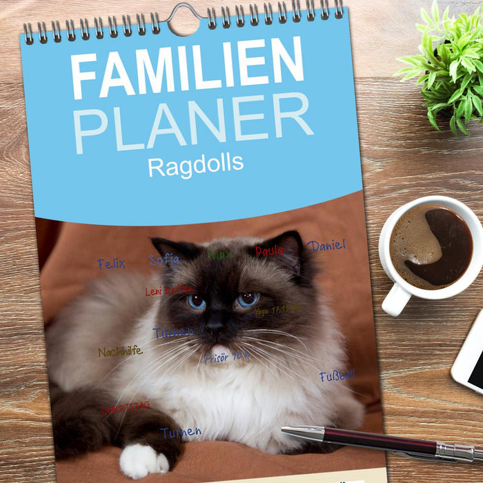Ragdolls (CALVENDO Familienplaner 2026)