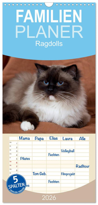 Ragdolls (CALVENDO Familienplaner 2026)