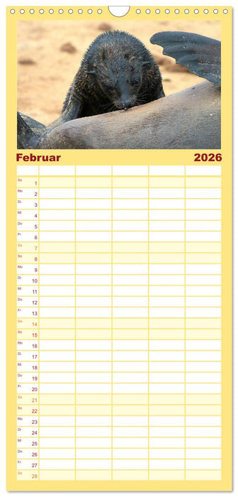 Wildes Kinderzimmer - Tierkinder in Afrika (CALVENDO Familienplaner 2026)