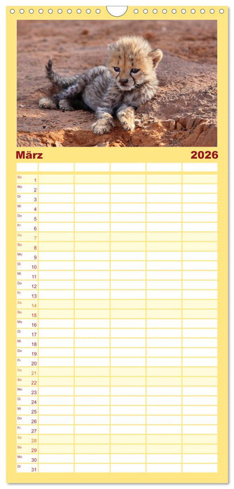 Wildes Kinderzimmer - Tierkinder in Afrika (CALVENDO Familienplaner 2026)