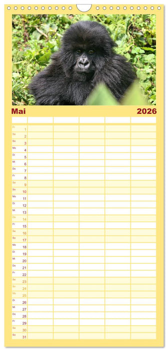 Wildes Kinderzimmer - Tierkinder in Afrika (CALVENDO Familienplaner 2026)