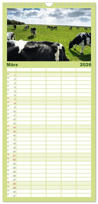 Ameland Wunderschöne Insel (CALVENDO Familienplaner 2026)