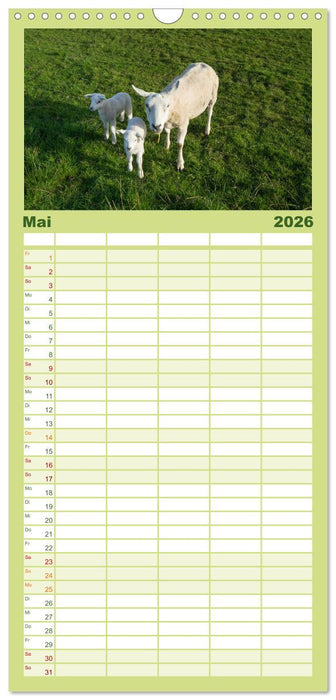 Ameland Wunderschöne Insel (CALVENDO Familienplaner 2026)