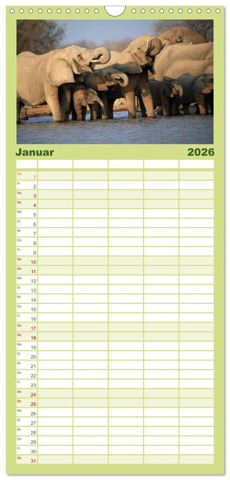 Afrika - im Reich der Elefanten (CALVENDO Familienplaner 2026)