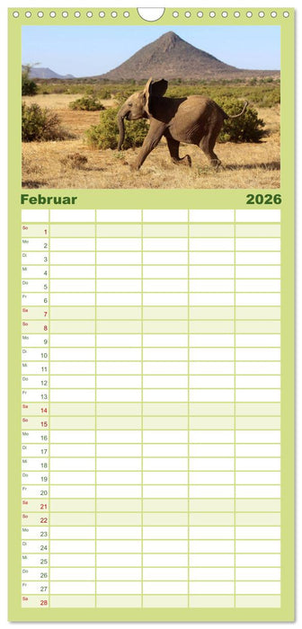 Afrika - im Reich der Elefanten (CALVENDO Familienplaner 2026)