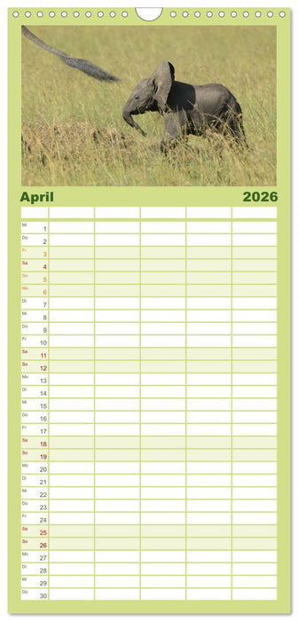 Afrika - im Reich der Elefanten (CALVENDO Familienplaner 2026)