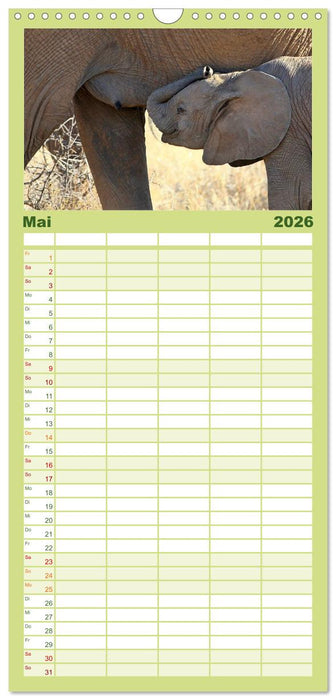 Afrika - im Reich der Elefanten (CALVENDO Familienplaner 2026)