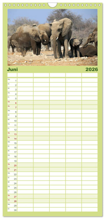 Afrika - im Reich der Elefanten (CALVENDO Familienplaner 2026)