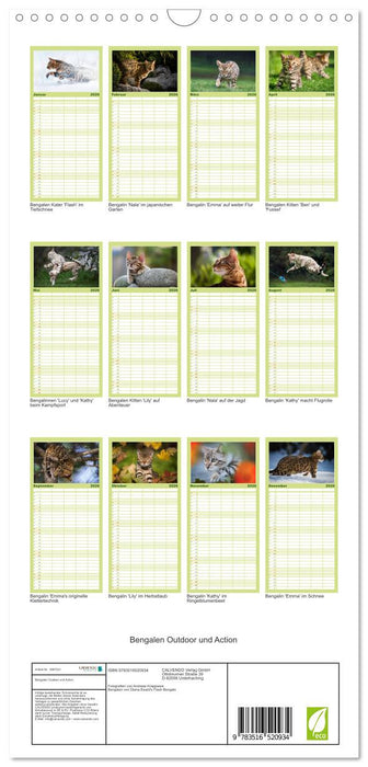 Bengalen Outdoor und Action (CALVENDO Familienplaner 2026)