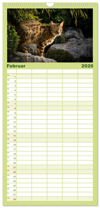 Bengalen Outdoor und Action (CALVENDO Familienplaner 2026)