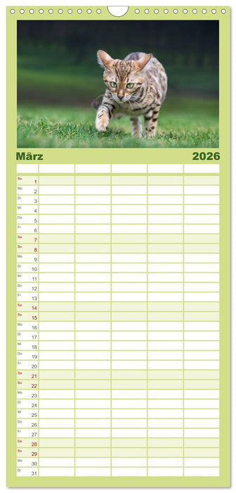 Bengalen Outdoor und Action (CALVENDO Familienplaner 2026)