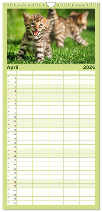 Bengalen Outdoor und Action (CALVENDO Familienplaner 2026)