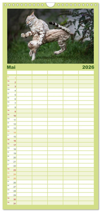 Bengalen Outdoor und Action (CALVENDO Familienplaner 2026)