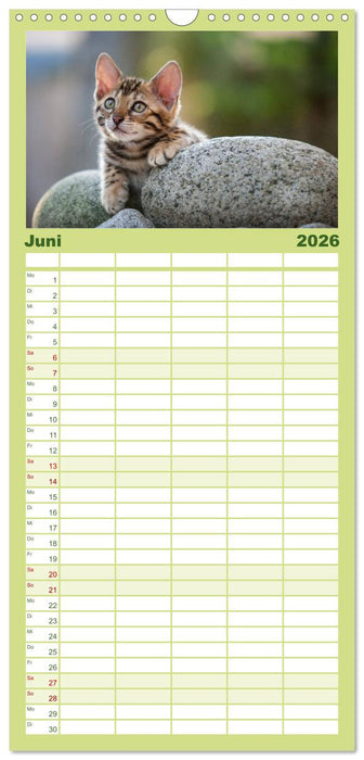 Bengalen Outdoor und Action (CALVENDO Familienplaner 2026)