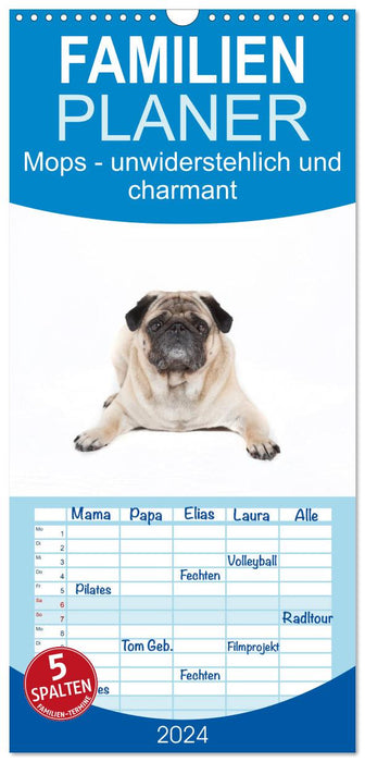 Mops - unwiderstehlich und charmant (CALVENDO Familienplaner 2026)