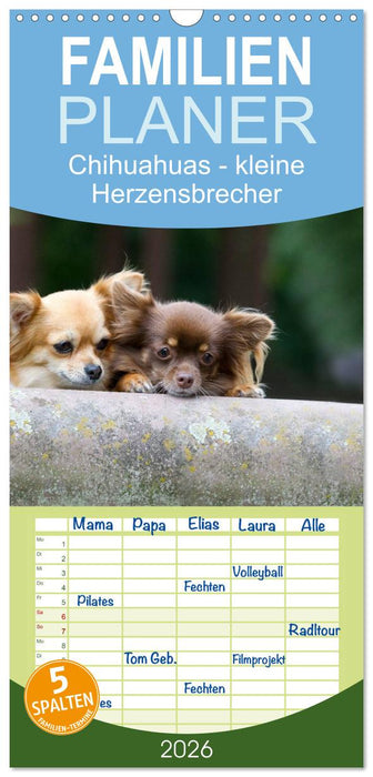 Chihuahuas - kleine Herzensbrecher (CALVENDO Familienplaner 2026)