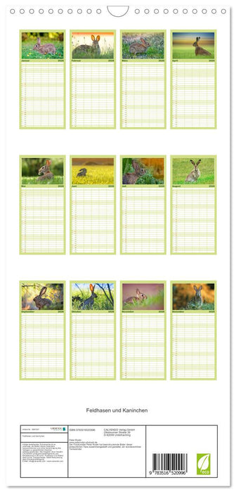 Feldhasen und Kaninchen (CALVENDO Familienplaner 2026)