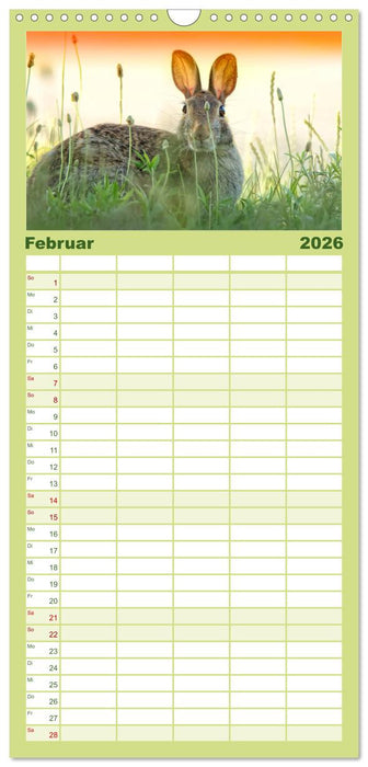 Feldhasen und Kaninchen (CALVENDO Familienplaner 2026)