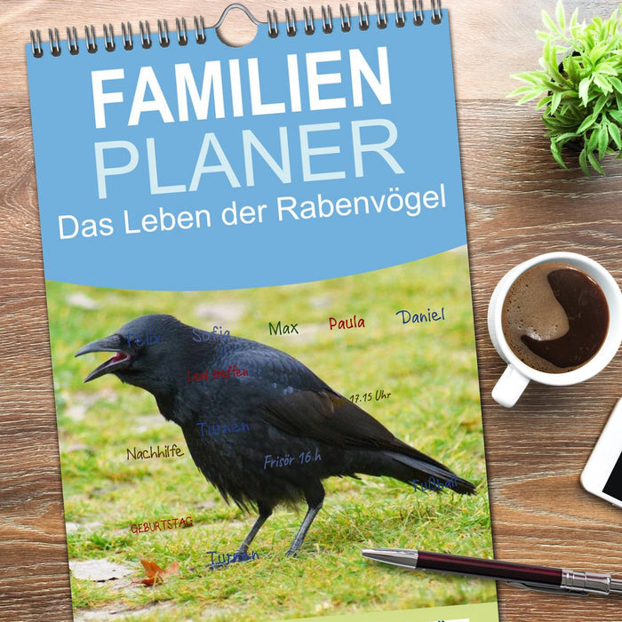 Das Leben der Rabenvögel (CALVENDO Familienplaner 2026)