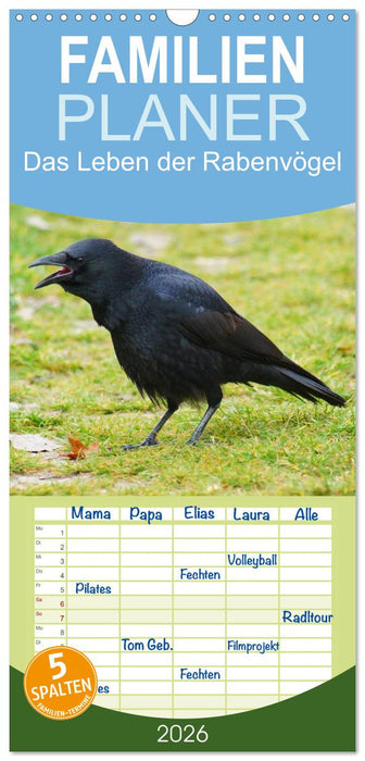 Das Leben der Rabenvögel (CALVENDO Familienplaner 2026)
