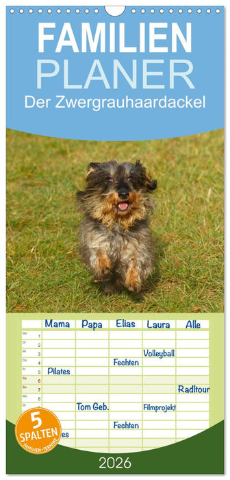 Der Zwergrauhaardackel - Eigensinnig und Liebenswert (CALVENDO Familienplaner 2026)