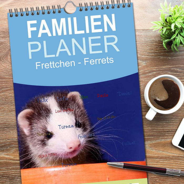 Frettchen - Ferrets (CALVENDO Familienplaner 2026)