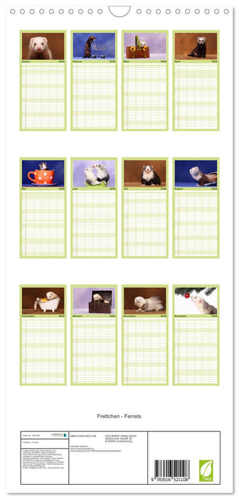 Frettchen - Ferrets (CALVENDO Familienplaner 2026)