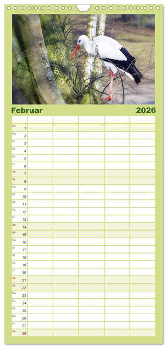 Welt der Tiere (CALVENDO Familienplaner 2026)