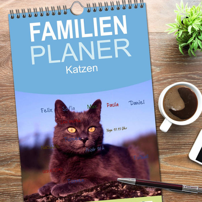 Katzen (CALVENDO Familienplaner 2026)