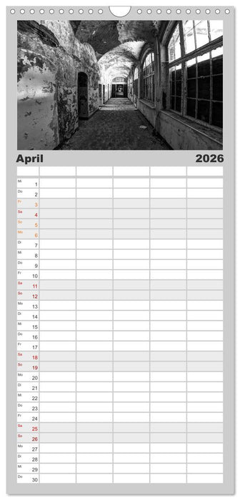 Lost Beauty (CALVENDO Familienplaner 2026)