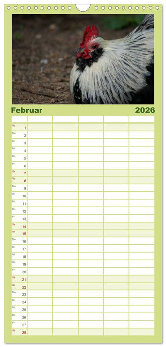 Die Welt der Hühner (CALVENDO Familienplaner 2026)