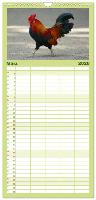 Die Welt der Hühner (CALVENDO Familienplaner 2026)