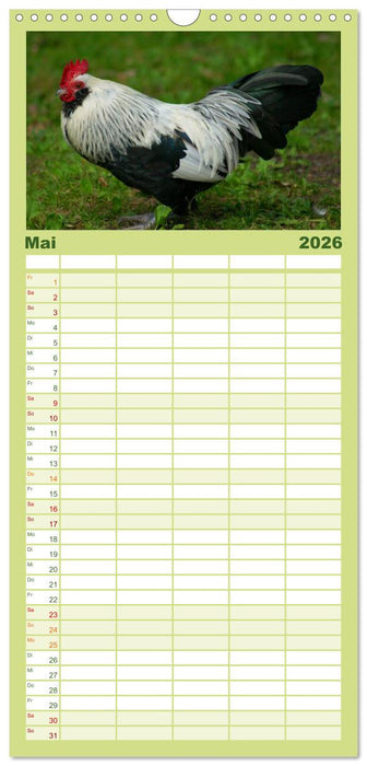 Die Welt der Hühner (CALVENDO Familienplaner 2026)