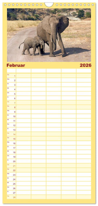 Afrikas Tierwelt: Elefantenbabys (CALVENDO Familienplaner 2026)