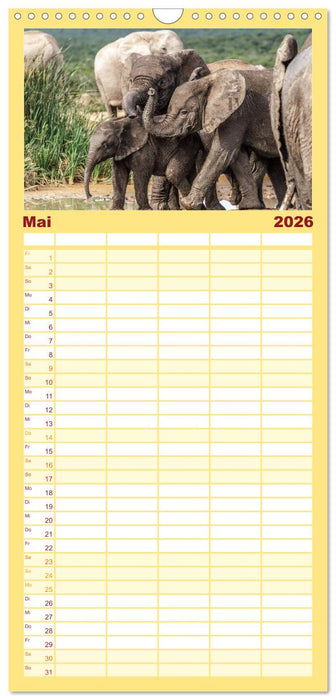 Afrikas Tierwelt: Elefantenbabys (CALVENDO Familienplaner 2026)
