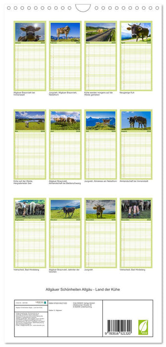Allgäuer Schönheiten Allgäu - Land der Kühe (CALVENDO Familienplaner 2026)