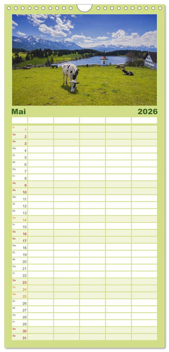 Allgäuer Schönheiten Allgäu - Land der Kühe (CALVENDO Familienplaner 2026)