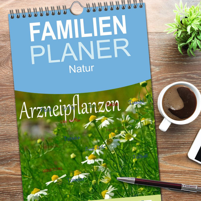 Arzneipflanzen (CALVENDO Familienplaner 2026)