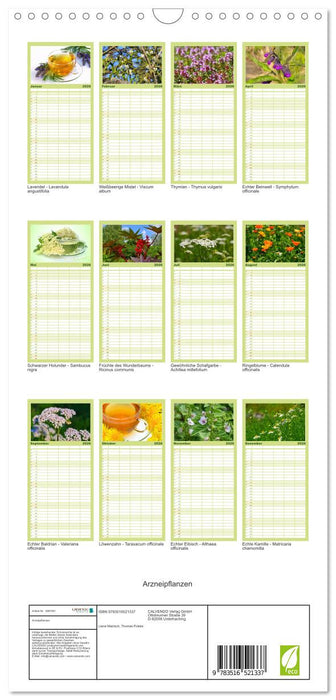 Arzneipflanzen (CALVENDO Familienplaner 2026)