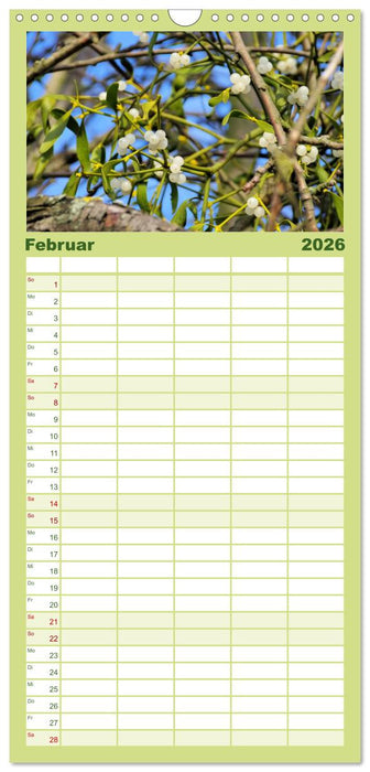 Arzneipflanzen (CALVENDO Familienplaner 2026)