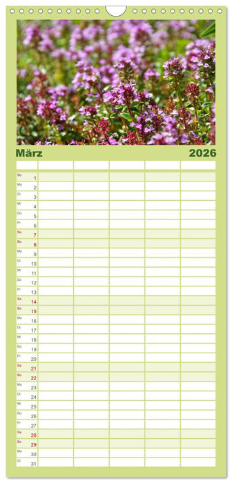 Arzneipflanzen (CALVENDO Familienplaner 2026)