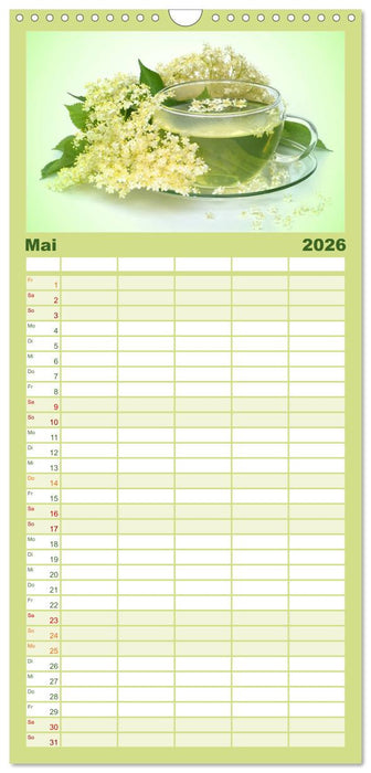 Arzneipflanzen (CALVENDO Familienplaner 2026)