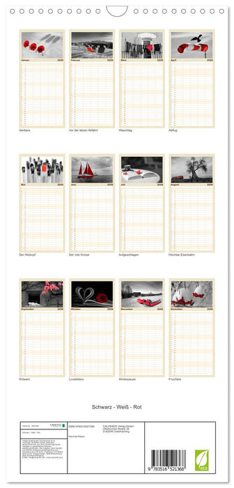 Schwarz - Weiß - Rot (CALVENDO Familienplaner 2026)