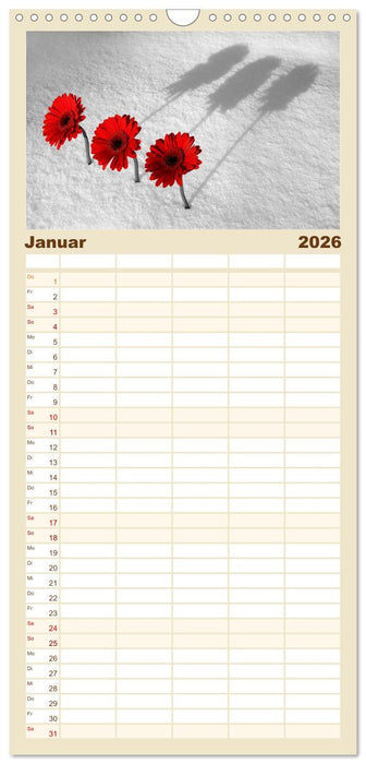 Schwarz - Weiß - Rot (CALVENDO Familienplaner 2026)