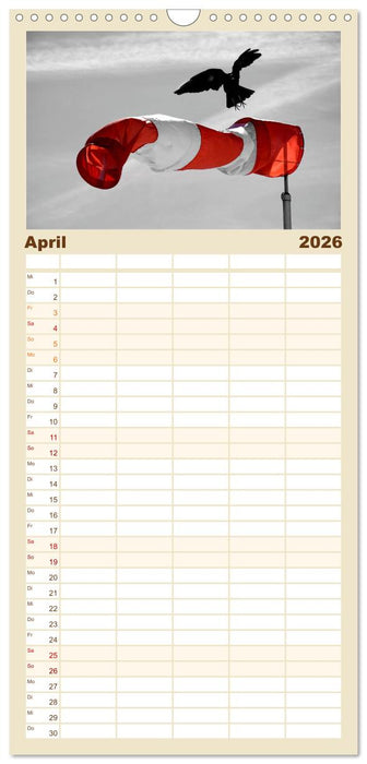 Schwarz - Weiß - Rot (CALVENDO Familienplaner 2026)