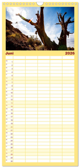 Mountain Bike 2026 by Stef. Candé (CALVENDO Familienplaner 2026)