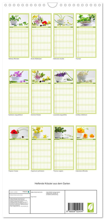 Helfende Kräuter aus dem Garten (CALVENDO Familienplaner 2026)